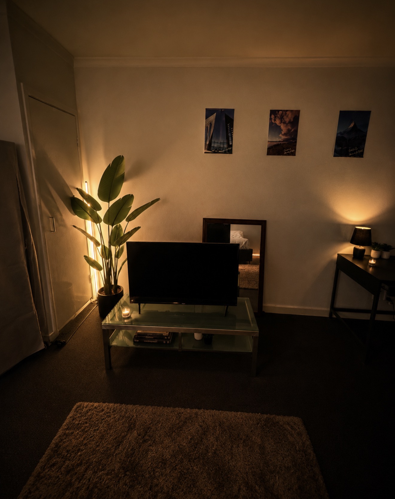 entire apartment 300 photo 4